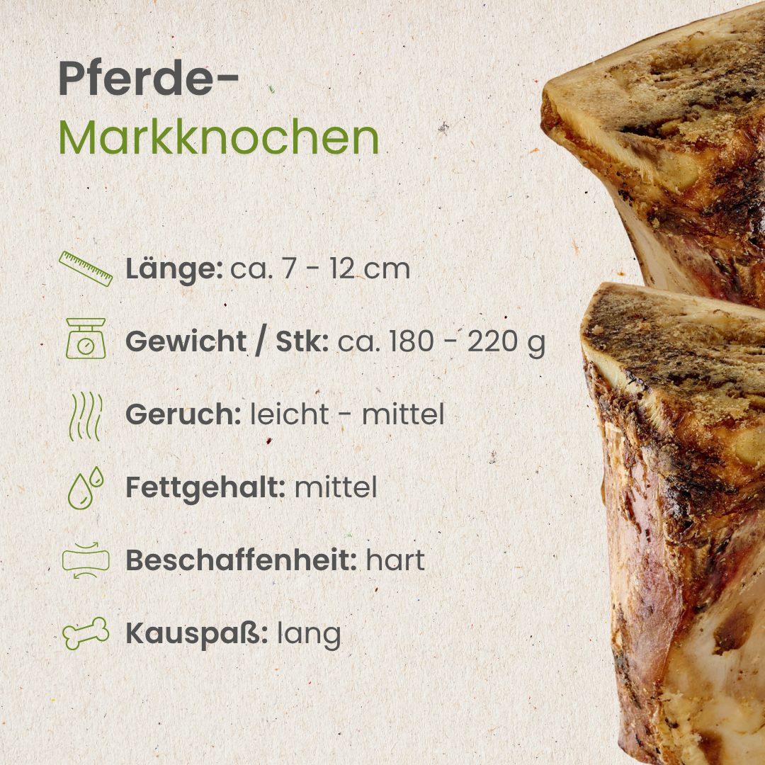 Pferde-Markknochen