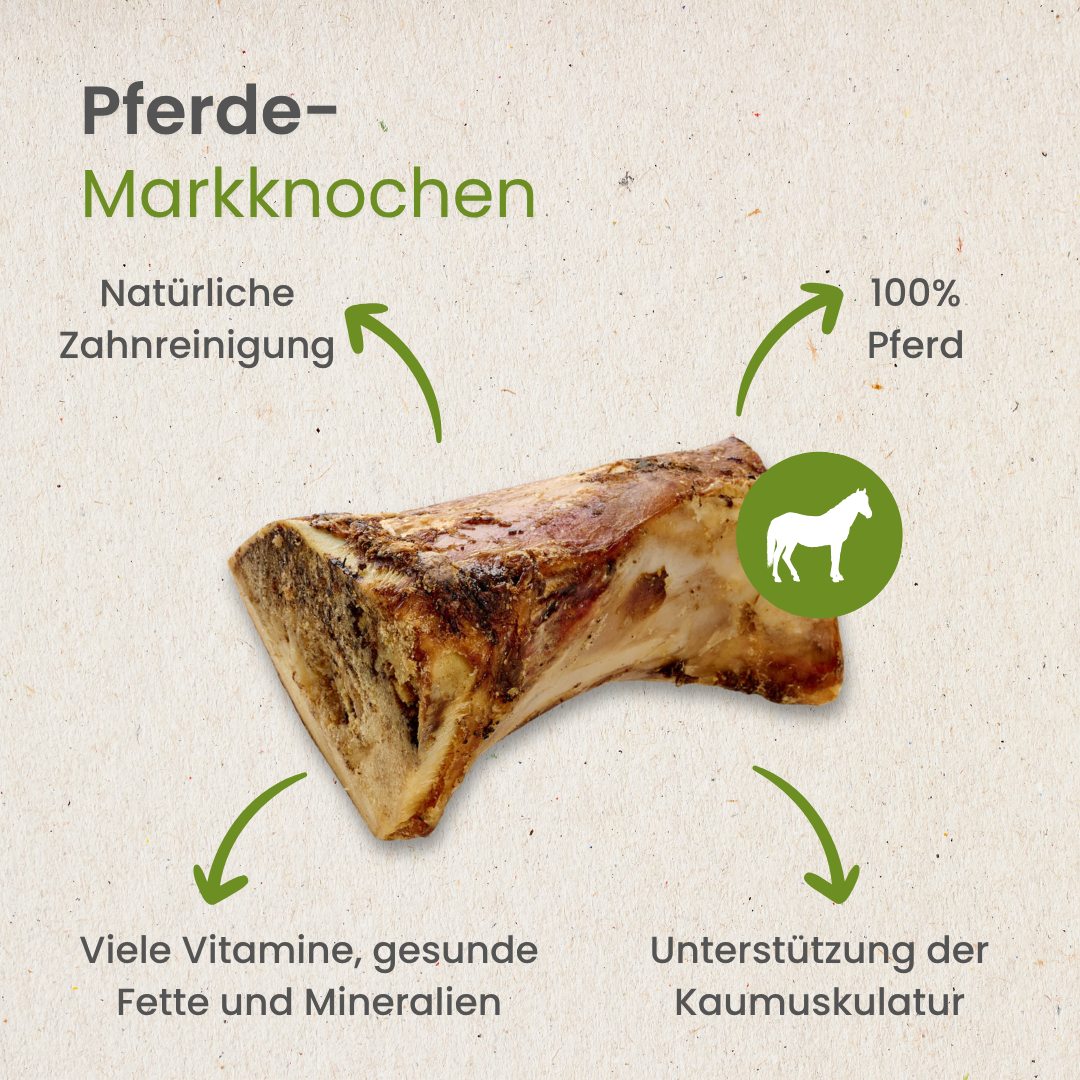 Pferde-Markknochen