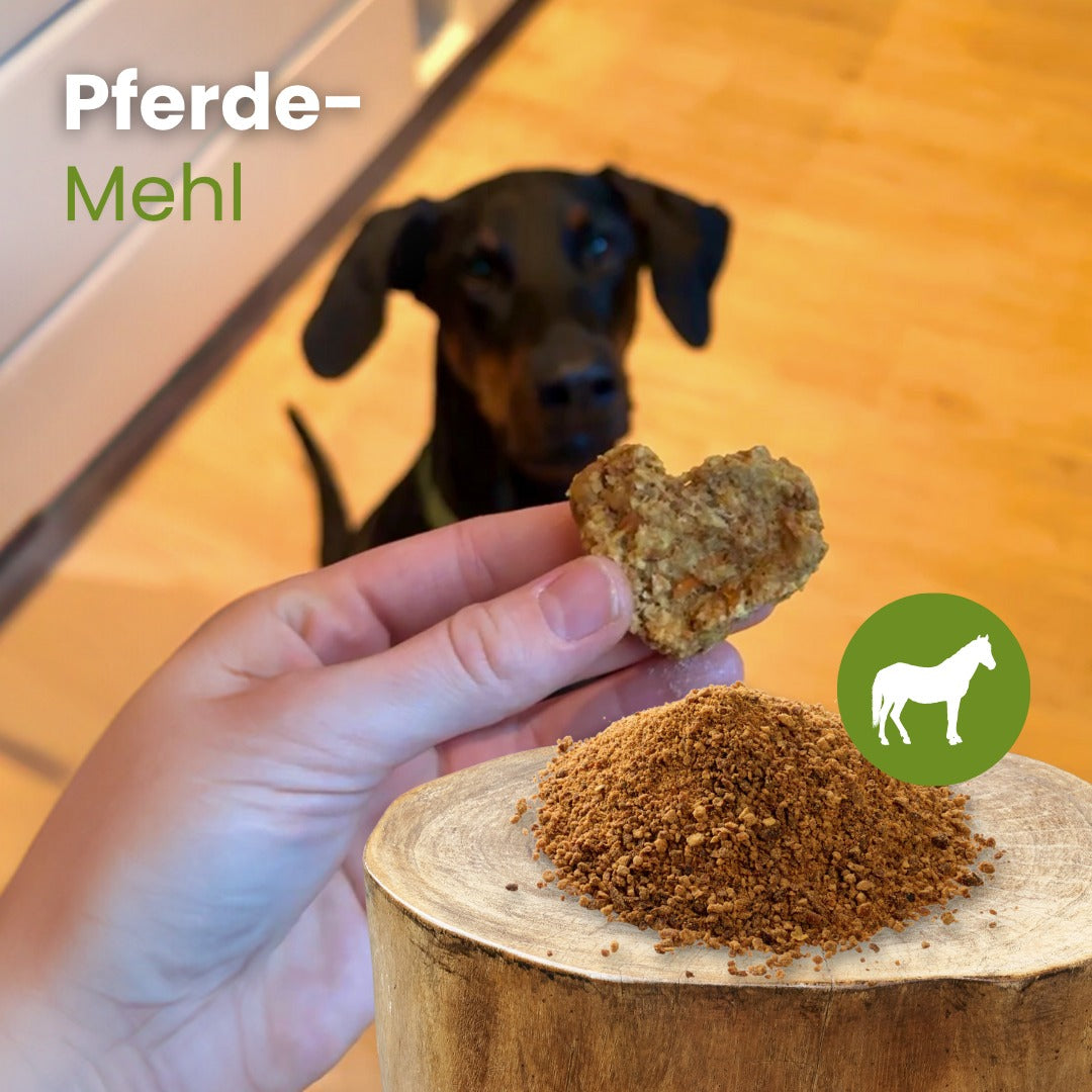 Pferde-Fleisch getrocknet und gemahlen