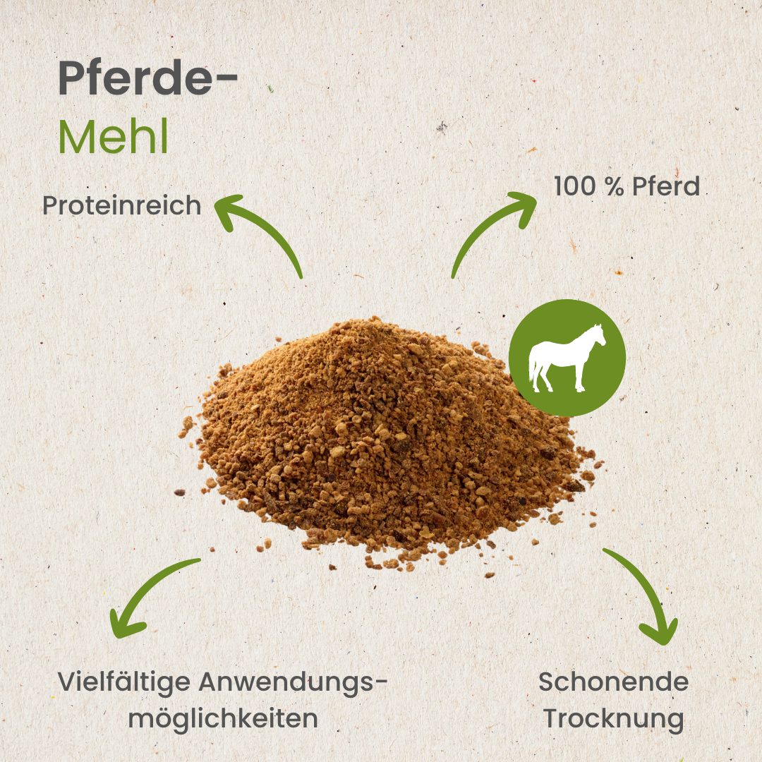Pferde-Fleisch getrocknet und gemahlen