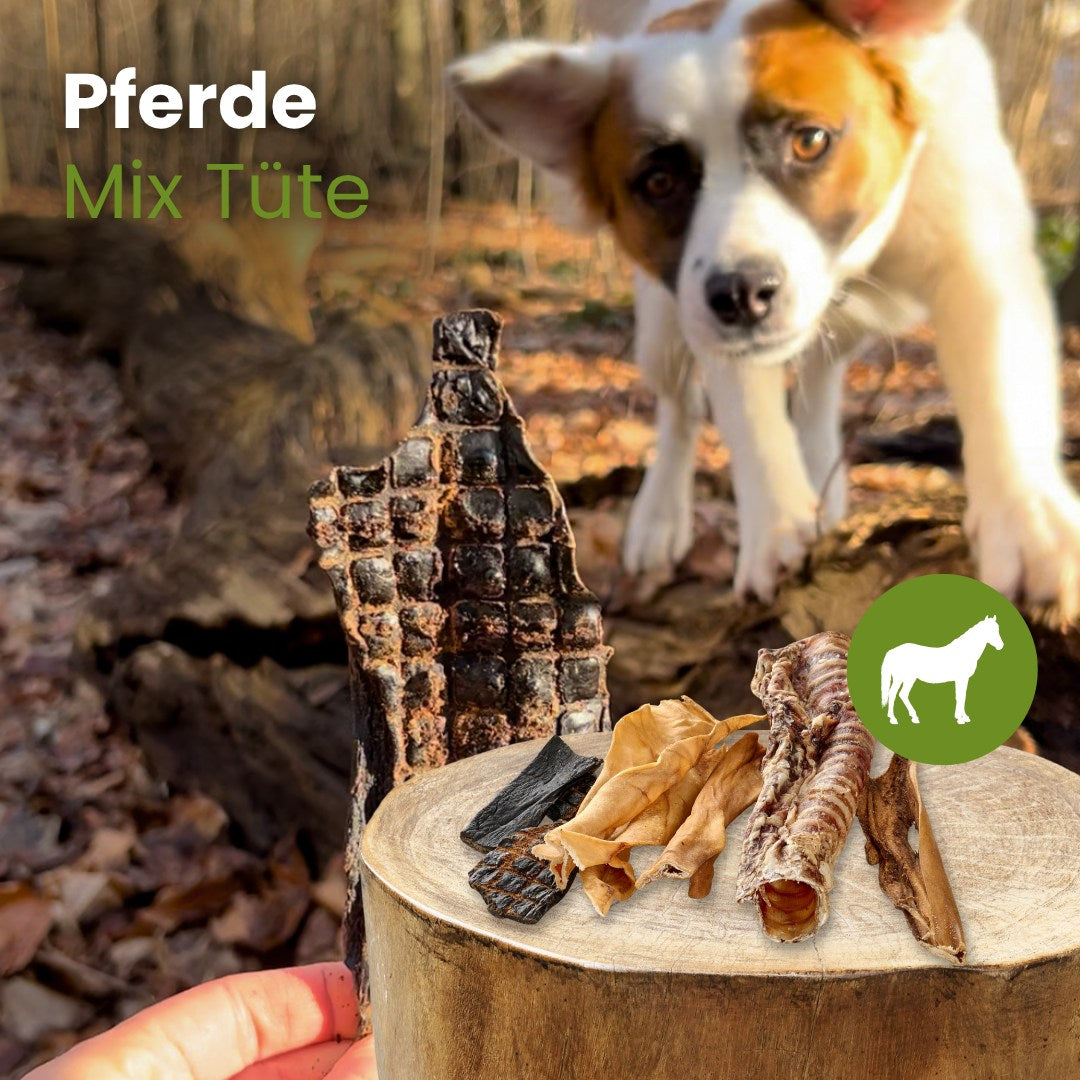 Pferde MIX TÜTE