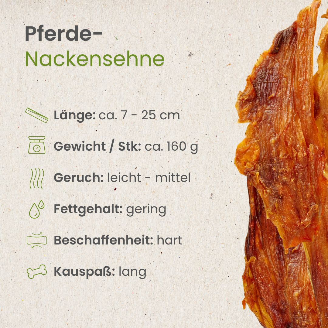 Pferde-Nackensehne