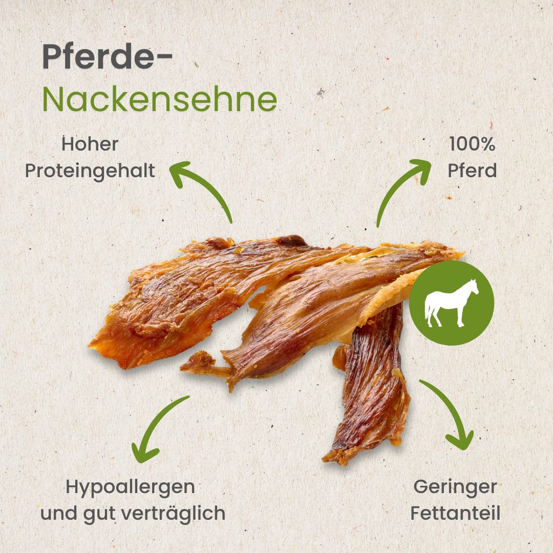 Pferde-Nackensehne