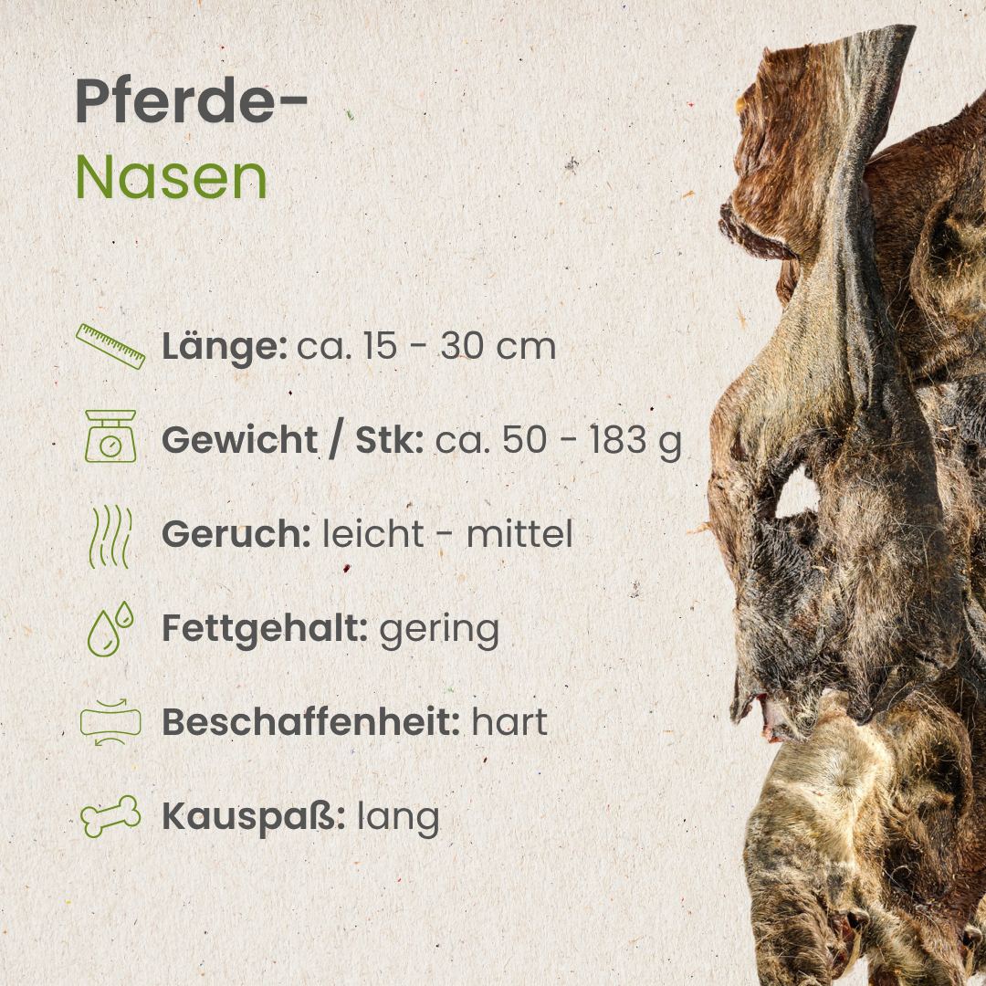 Pferde-Nasen