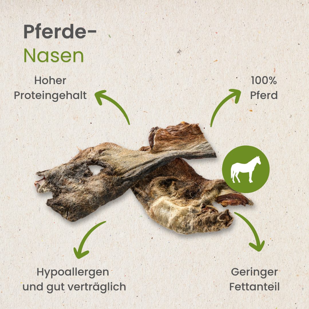 Pferde-Nasen