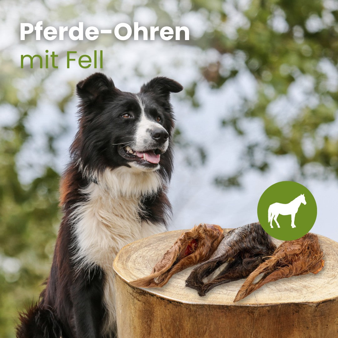 Pferde-Ohren mit Fell