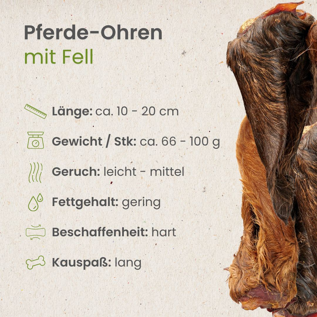 Pferde-Ohren mit Fell