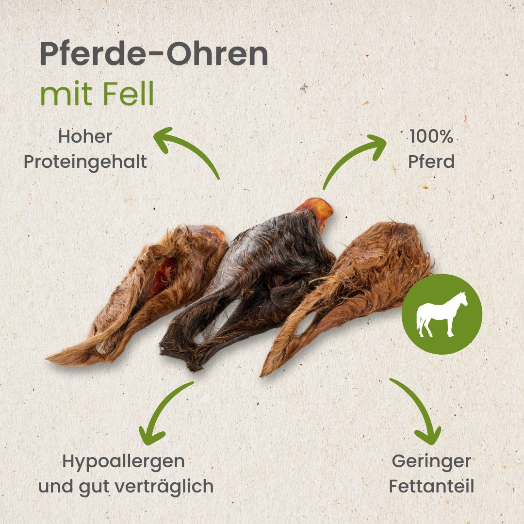 Pferde-Ohren mit Fell