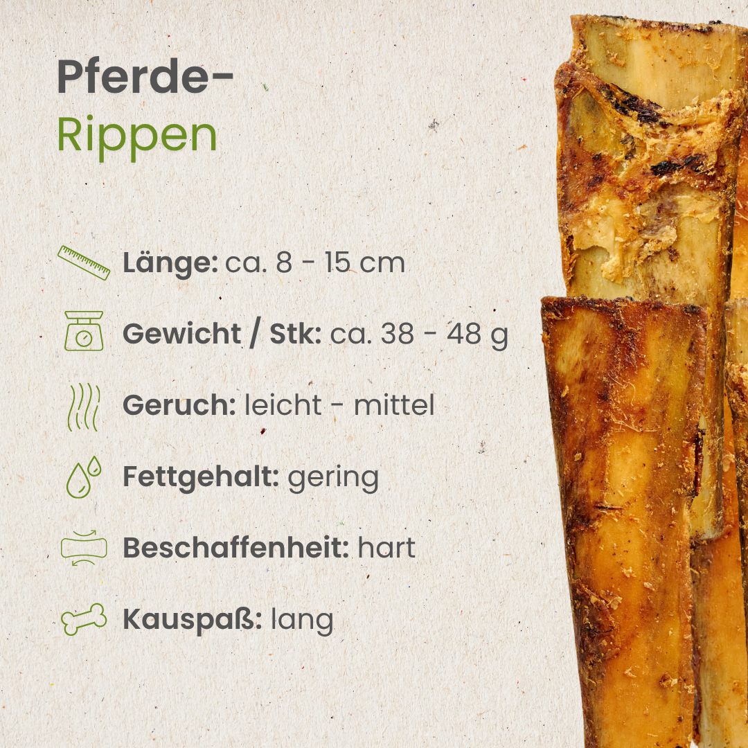 Pferde-Rippen