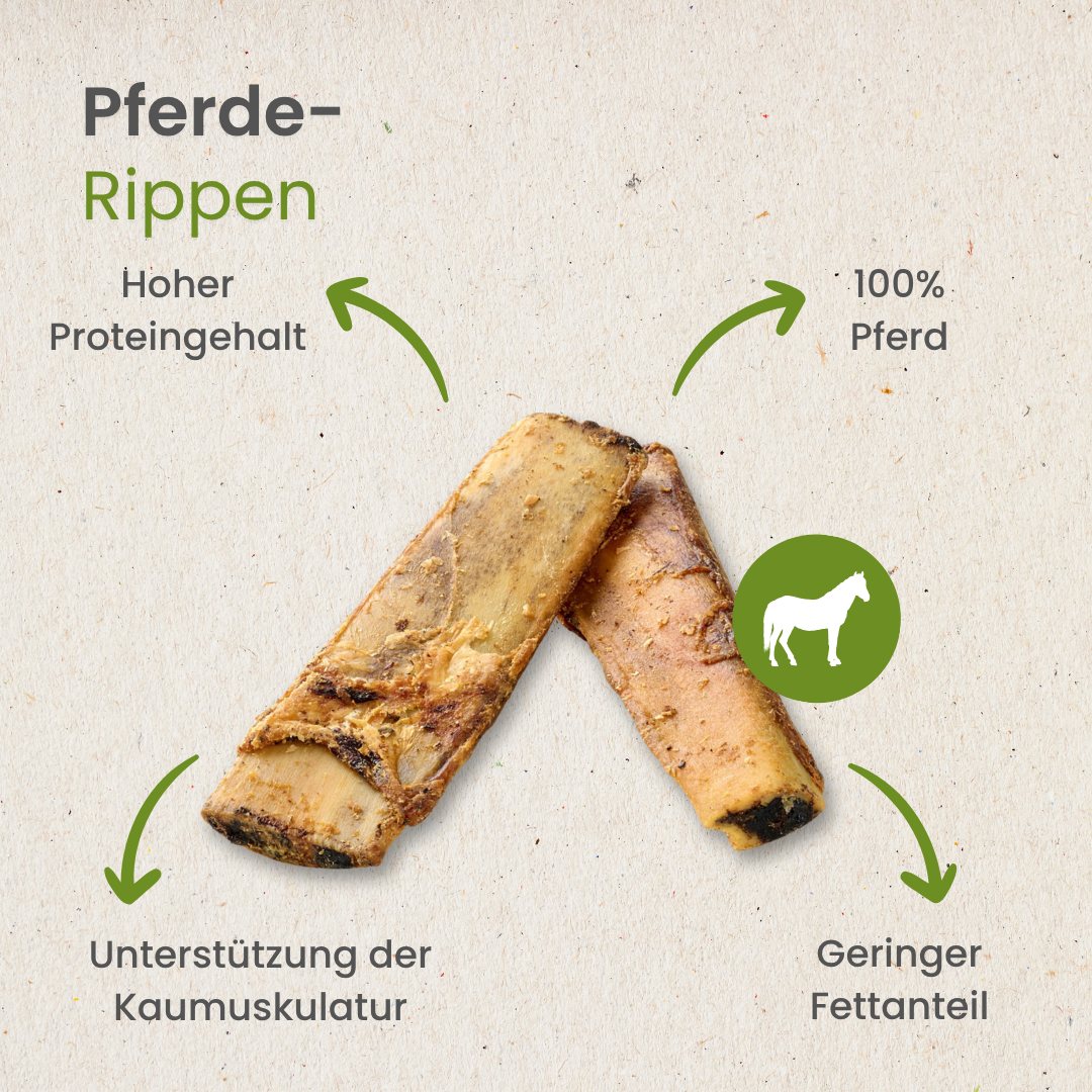 Pferde-Rippen