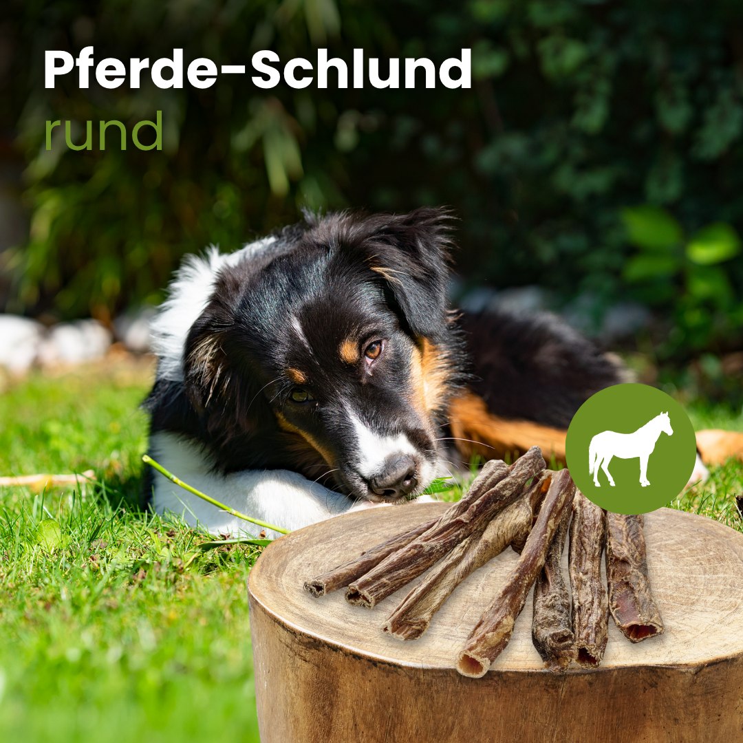 Pferde-Schlund, rund