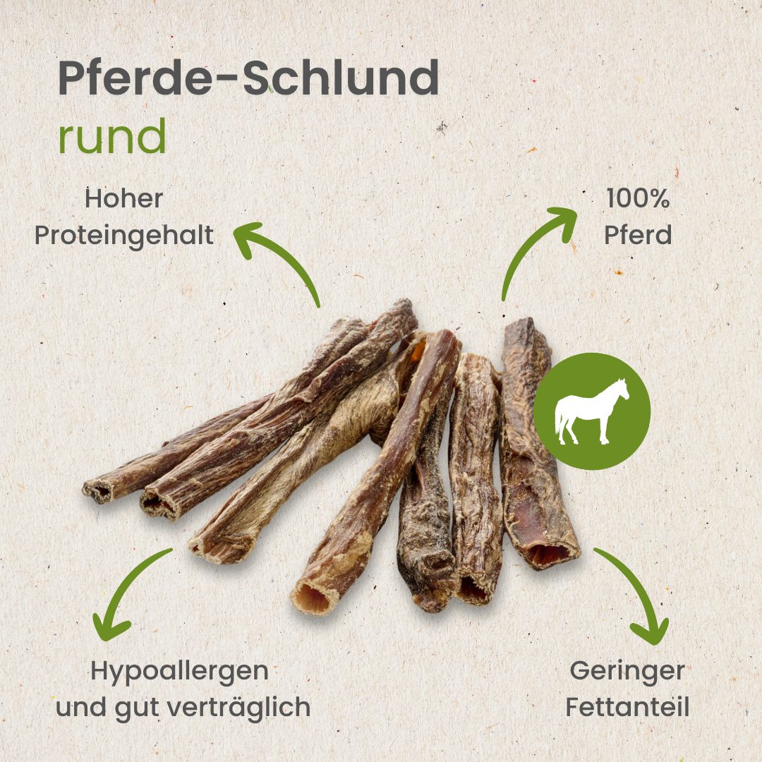 Pferde-Schlund, rund