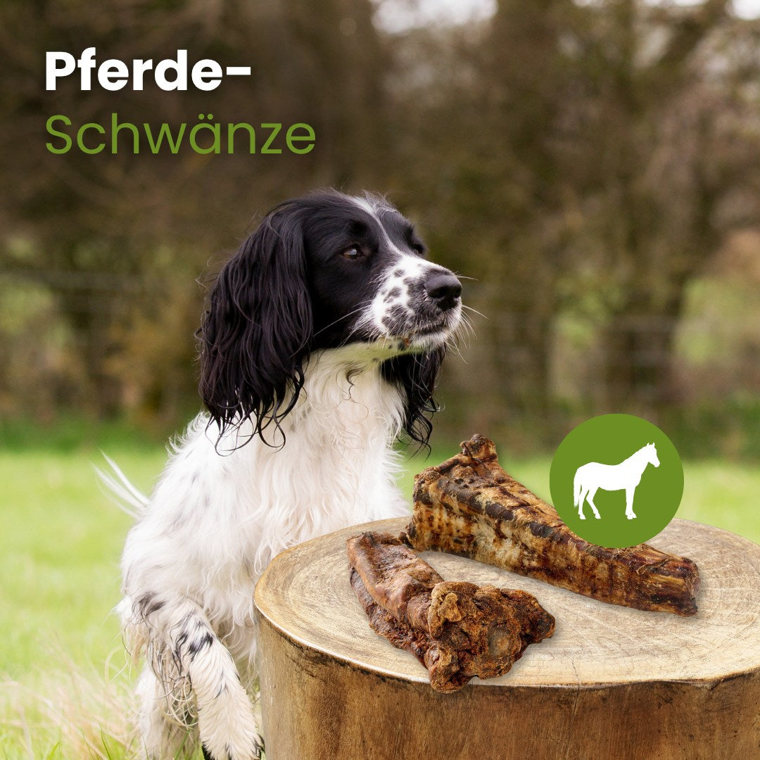 Pferde-Schwänze