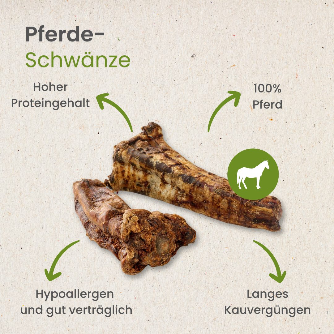 Pferde-Schwänze