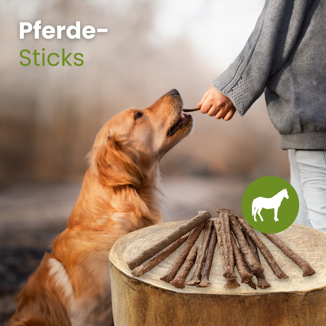 Pferde-Sticks