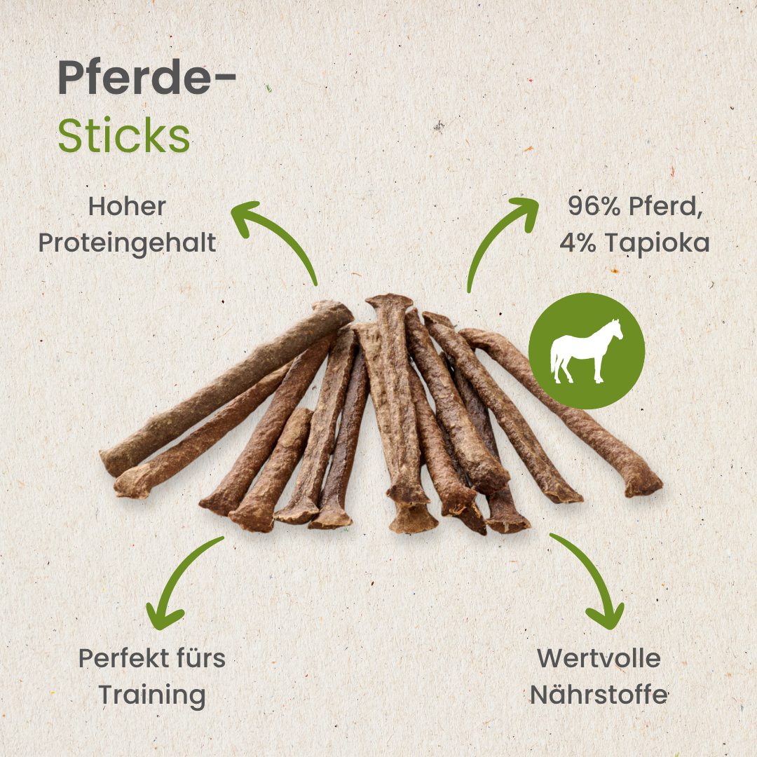 Pferde-Sticks