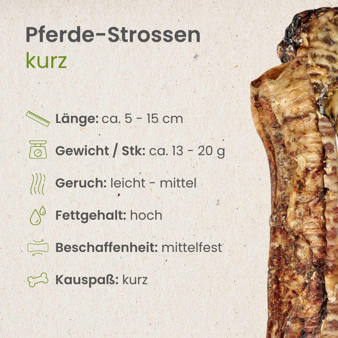 Pferde-Strossen, kurz