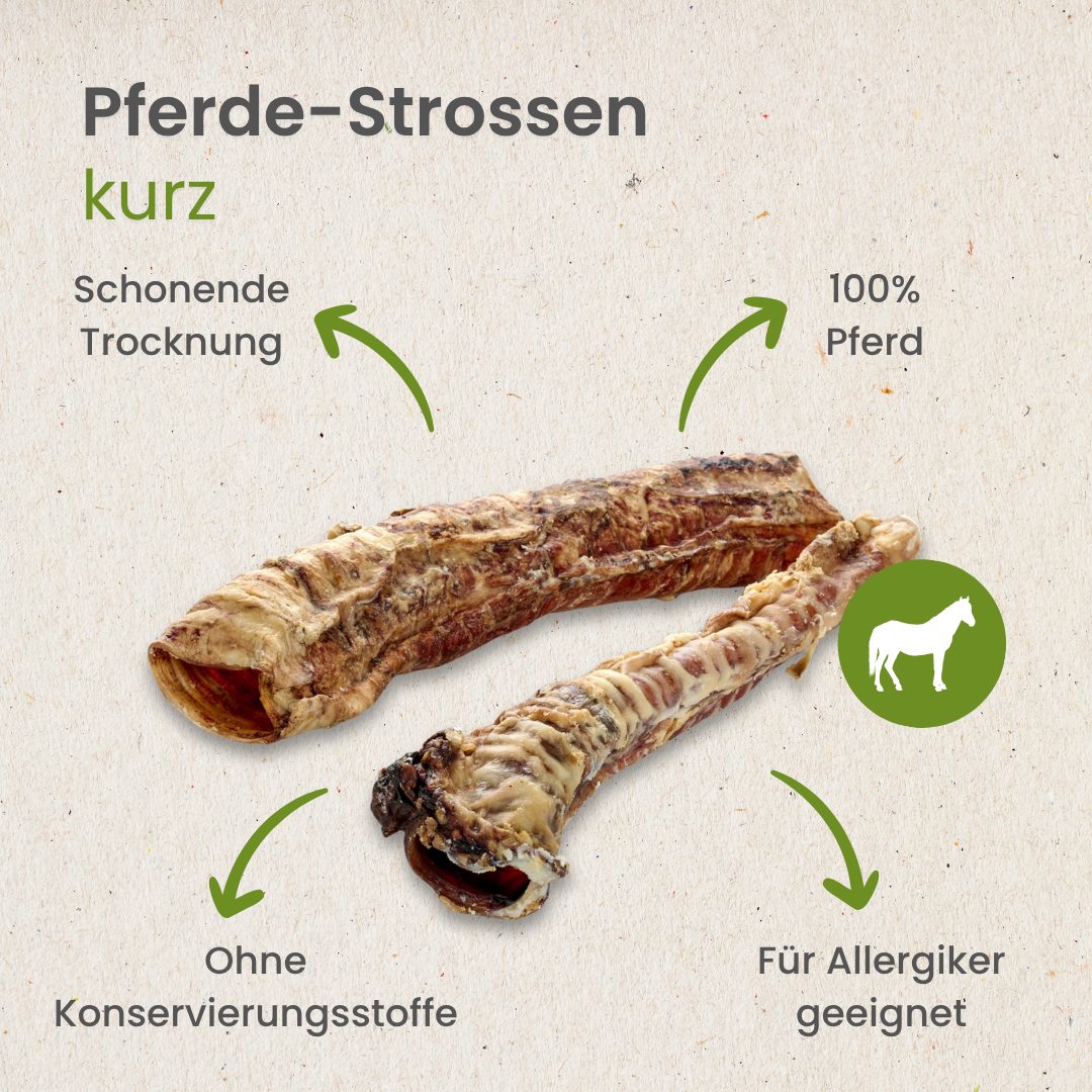 Pferde-Strossen, kurz