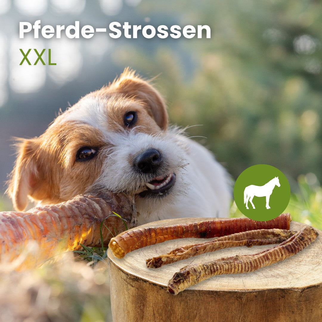 Pferde-Strossen XXL