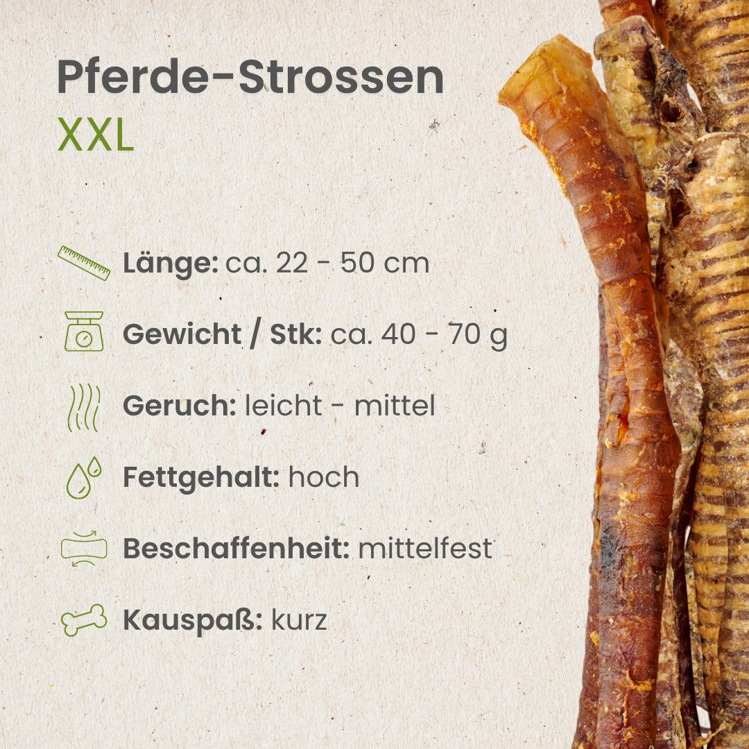 Pferde-Strossen XXL