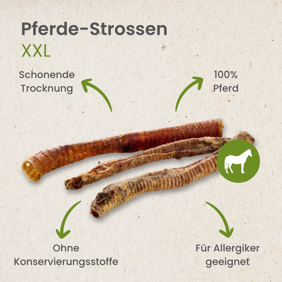 Pferde-Strossen XXL