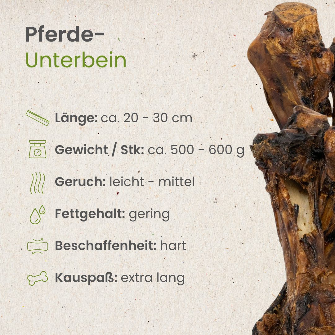 Pferde-Unterbein