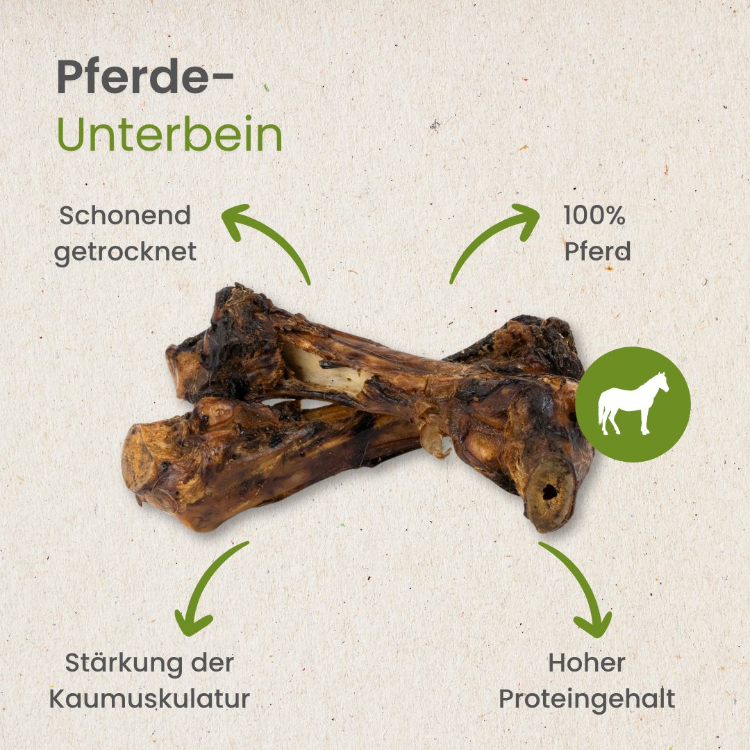 Pferde-Unterbein