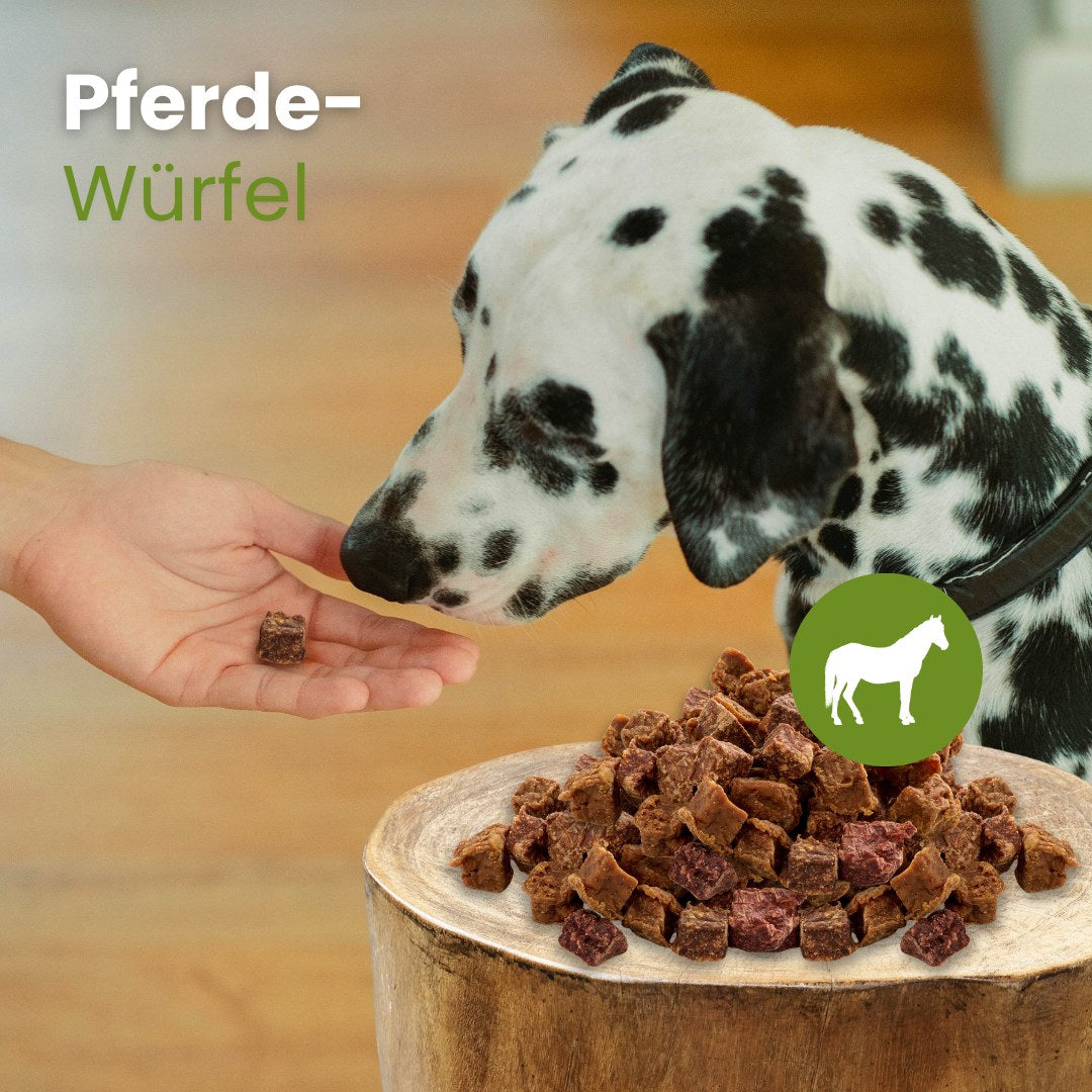 Pferde-Würfel