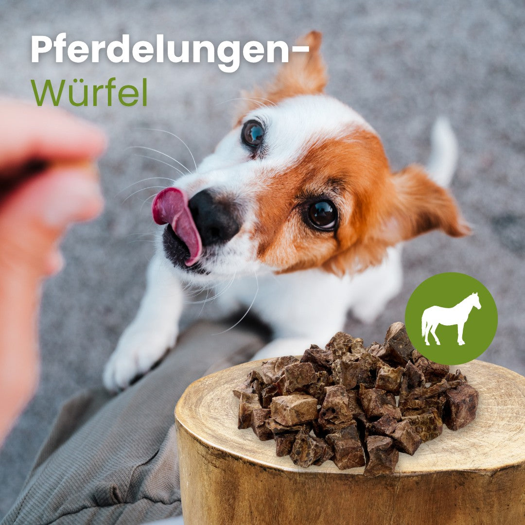Pferde-Lungenwürfel