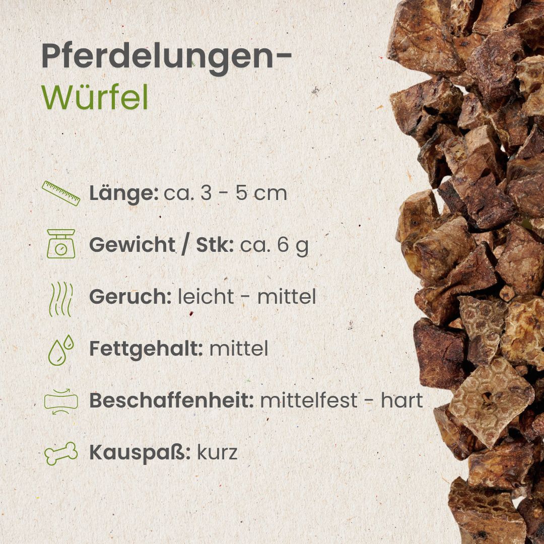 Pferde-Lungenwürfel