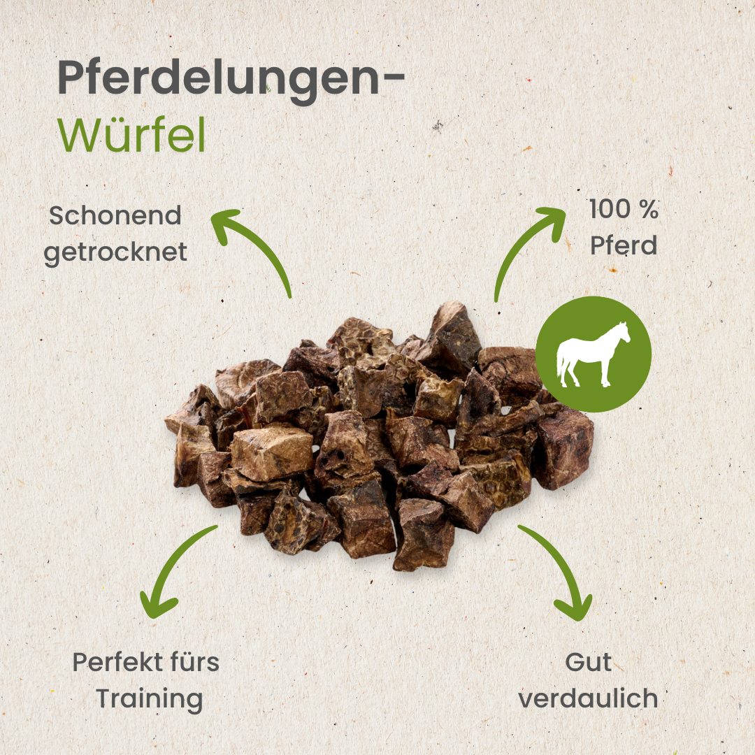 Pferde-Lungenwürfel