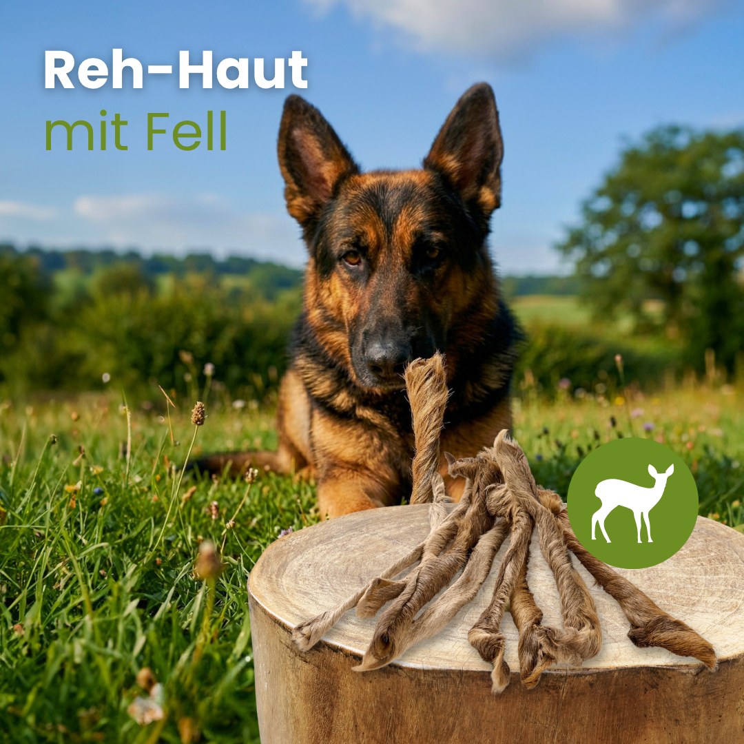 Reh-Haut, mit Fell