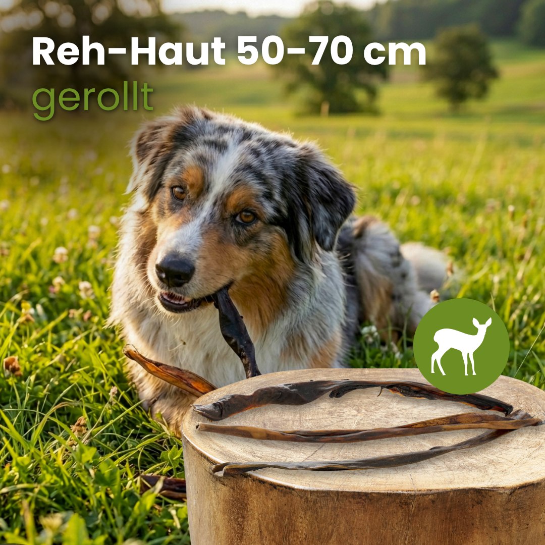 Reh-Haut 50-70cm, gerollt
