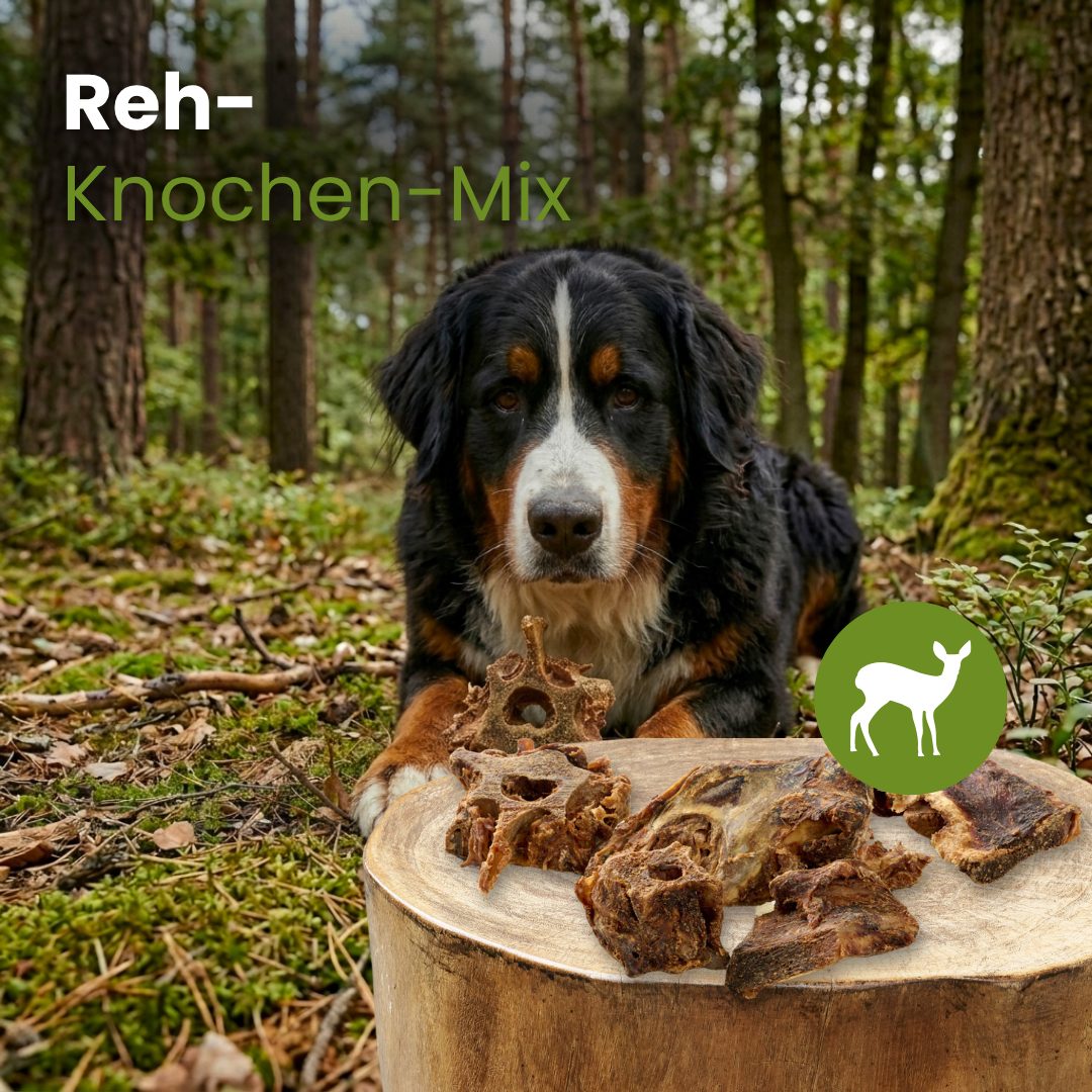 Reh-Knochen-Mix