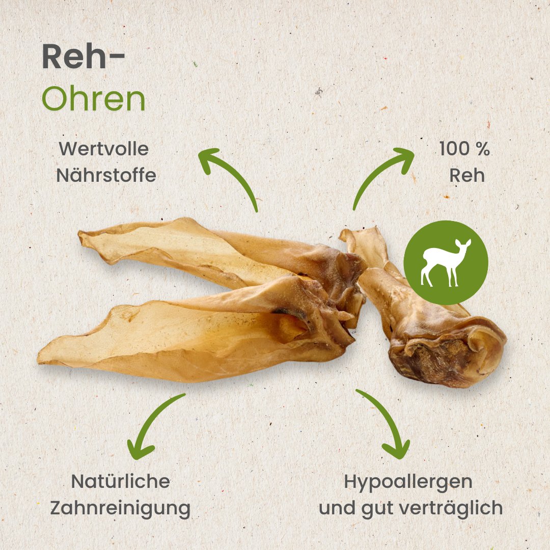 Reh-Ohren
