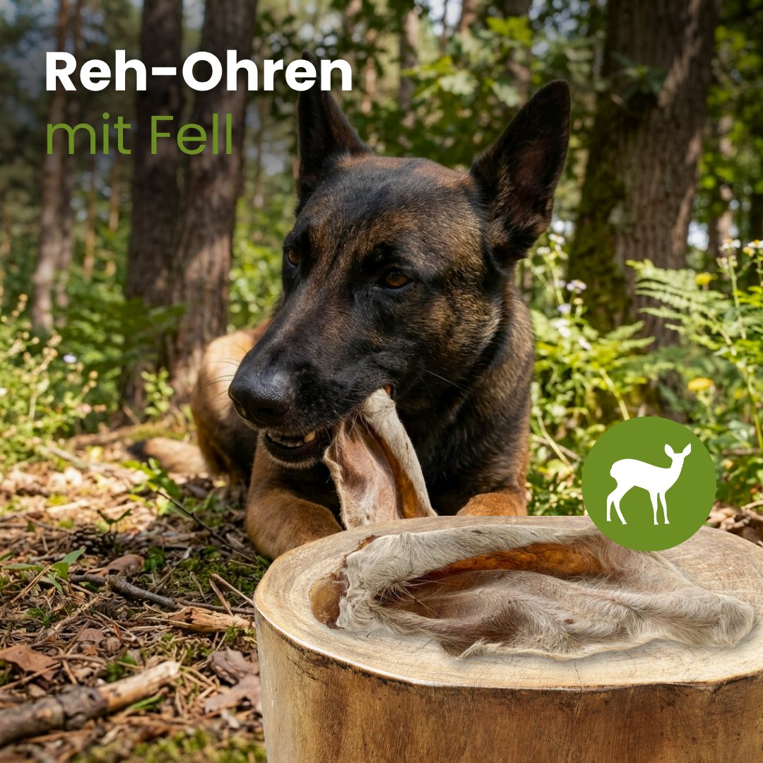 Reh-Ohren mit Fell