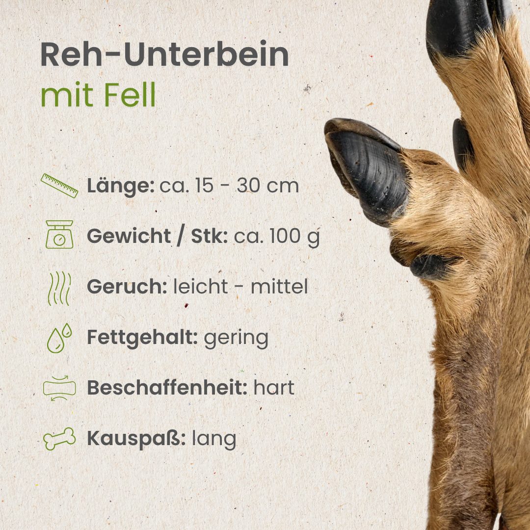 Reh-Unterbein mit Fell