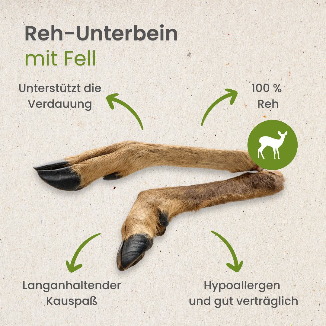 Reh-Unterbein mit Fell