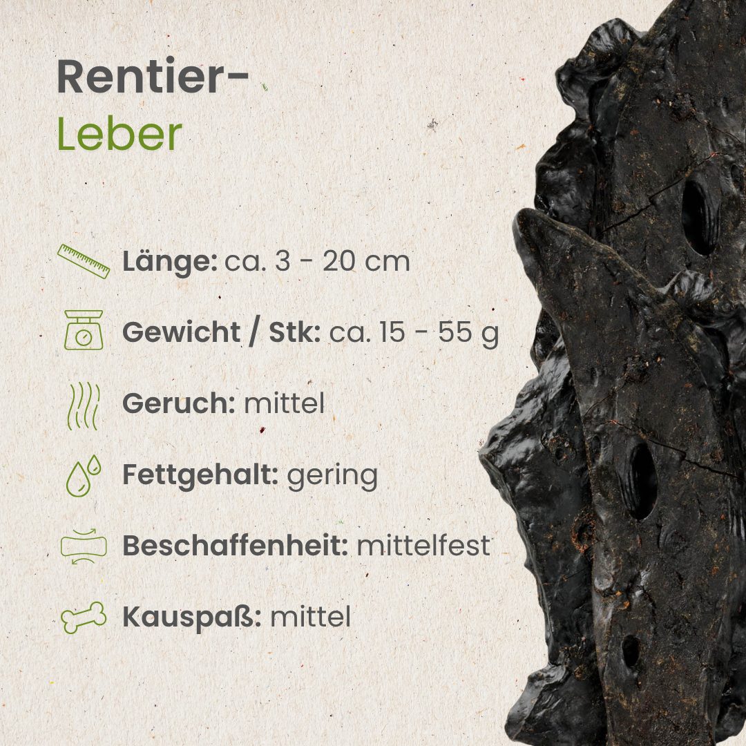 Rentier-Leber