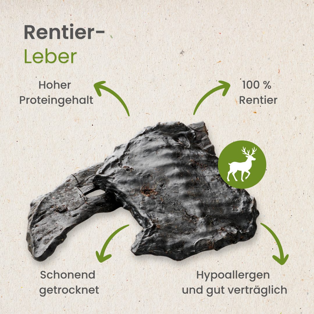 Rentier-Leber
