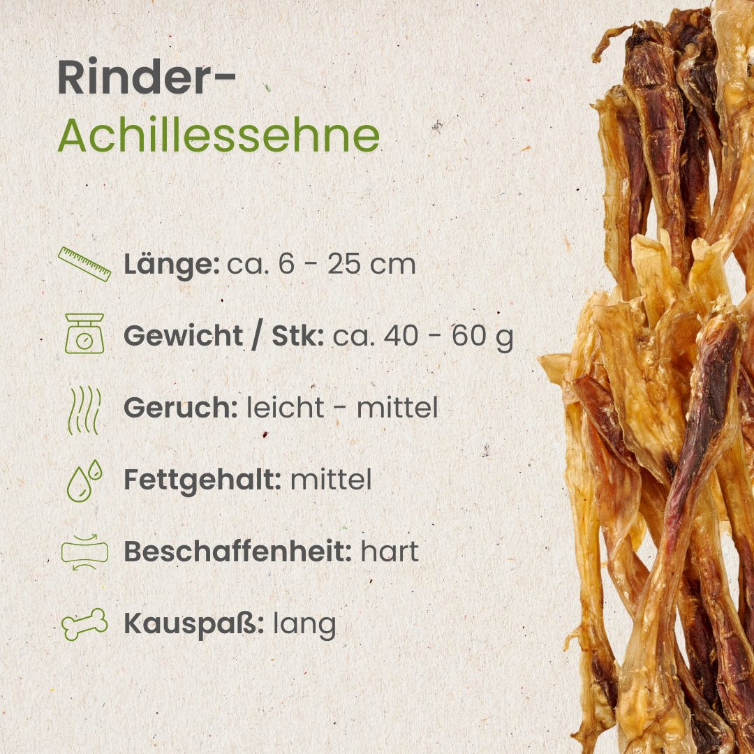 Rinder-Achillessehne