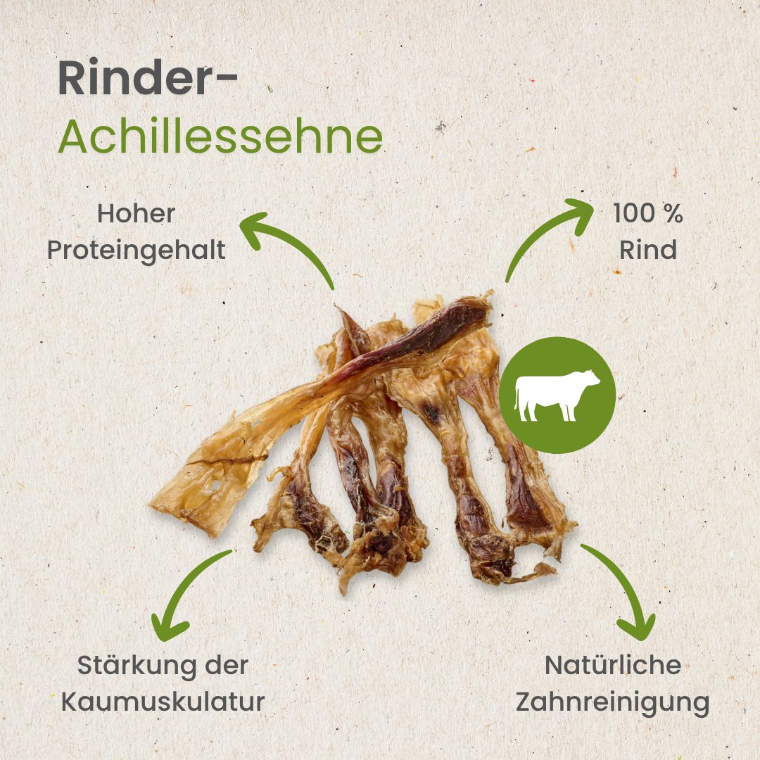 Rinder-Achillessehne