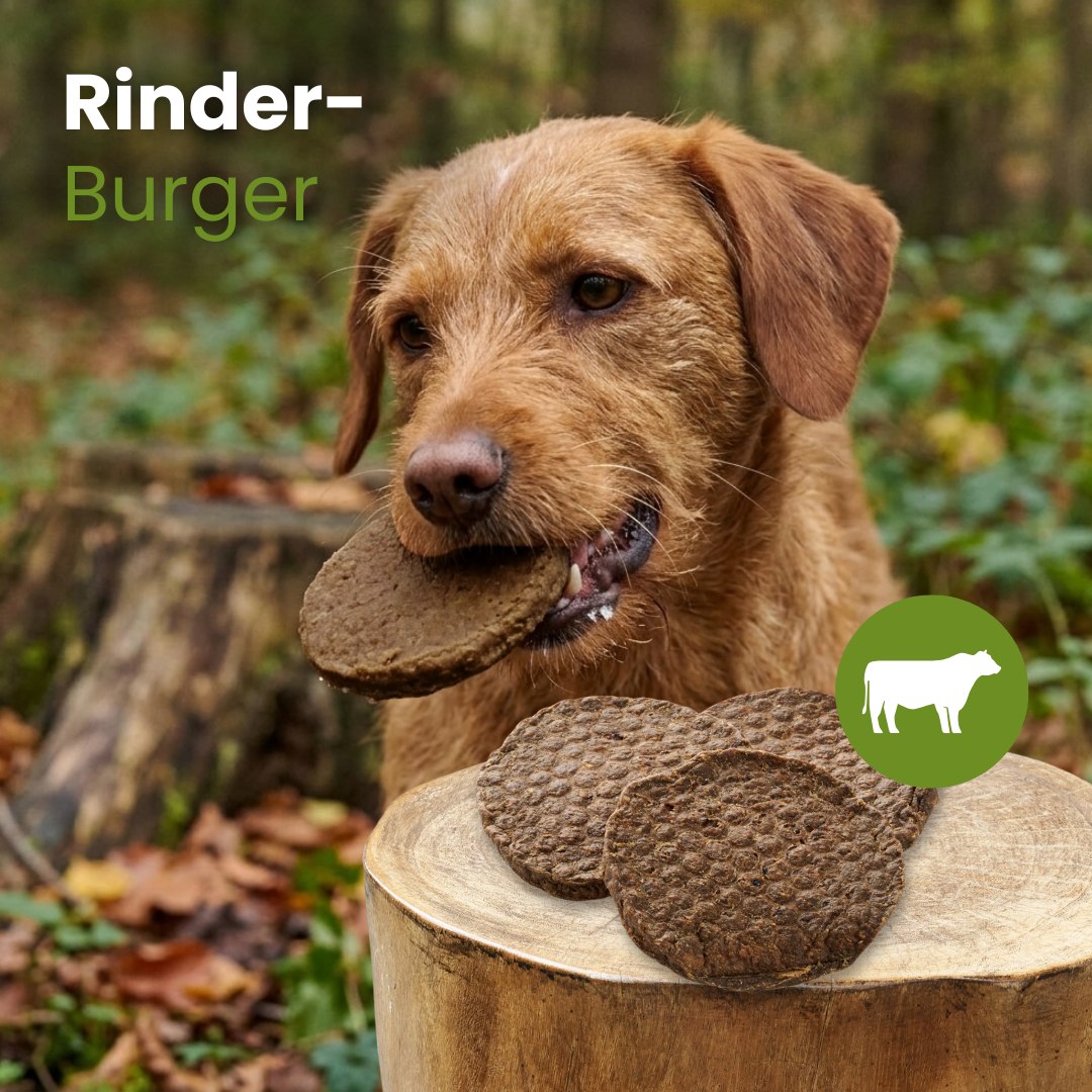Rinder-Burger