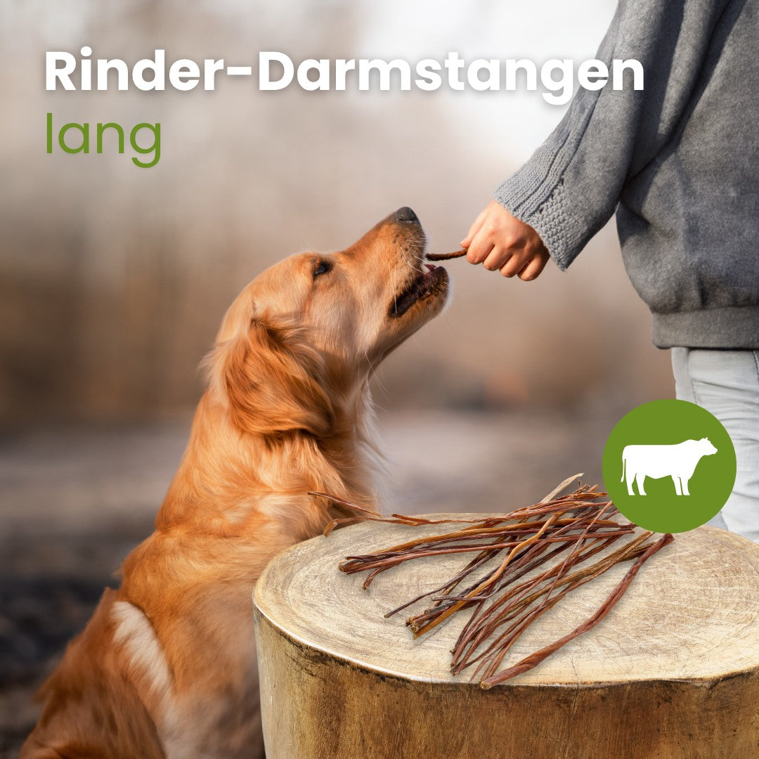 Rinder-Darmstangen, lang