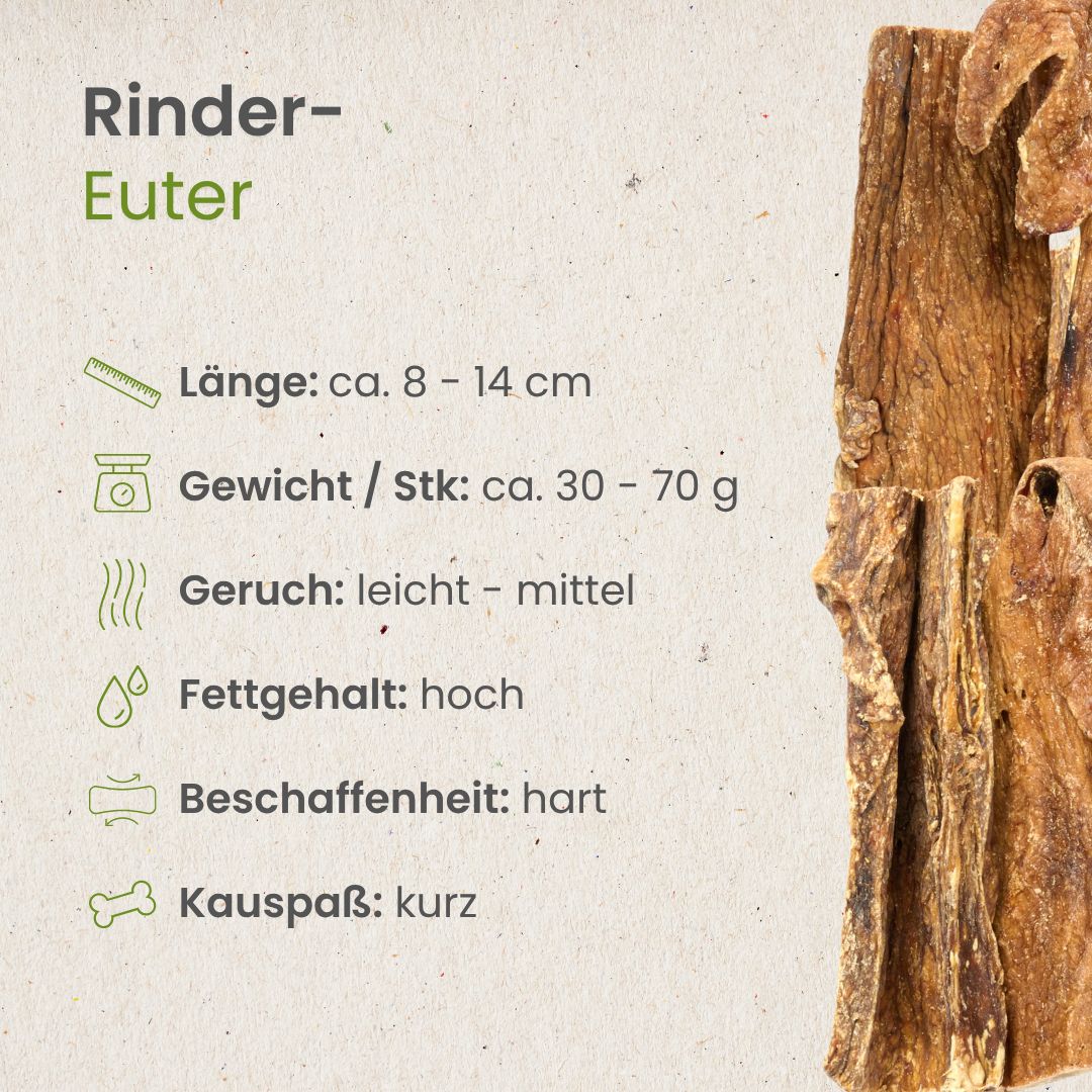Rinder-Euter