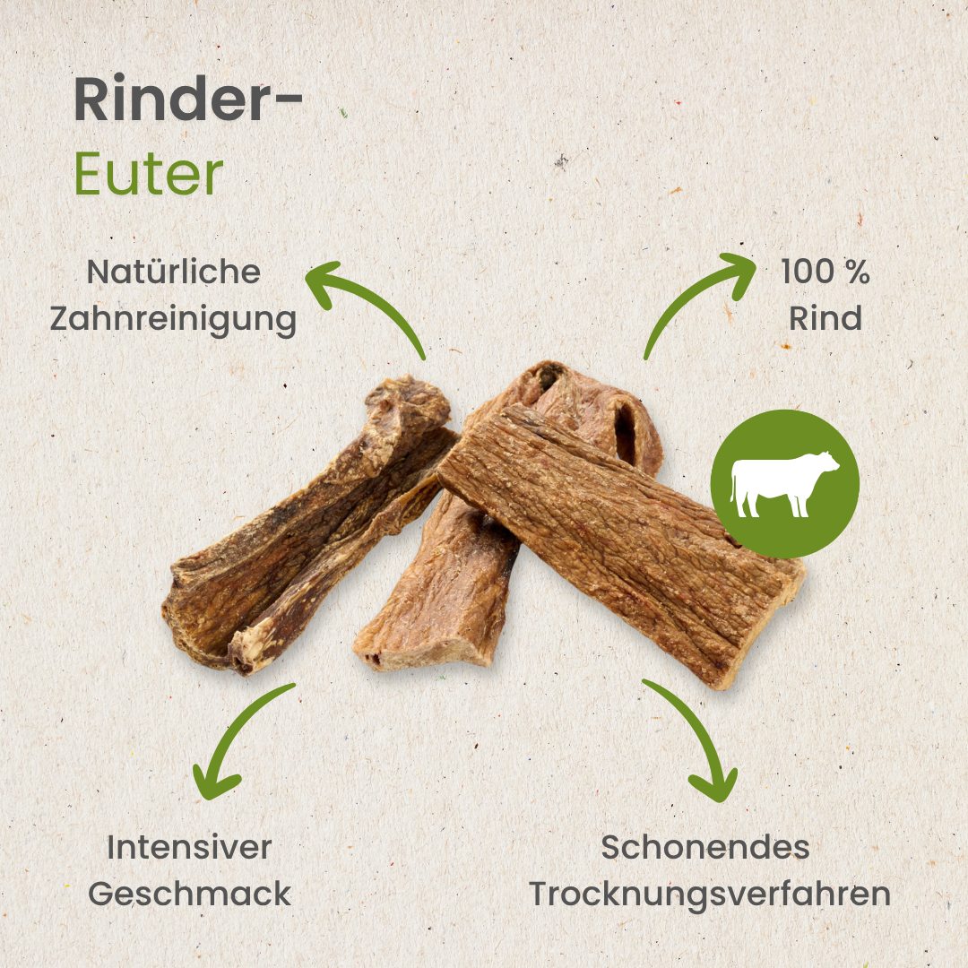 Rinder-Euter