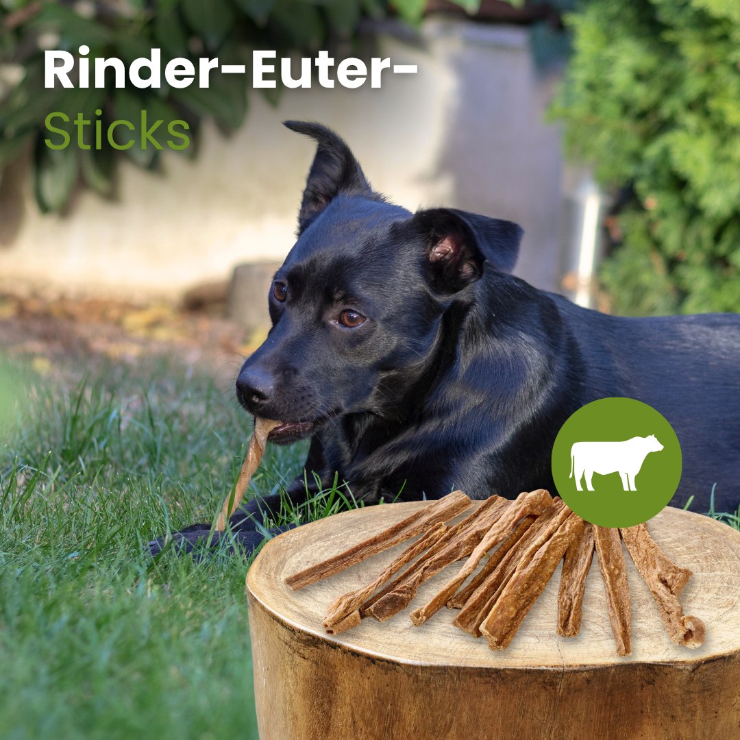 Rinder-Euter-Sticks