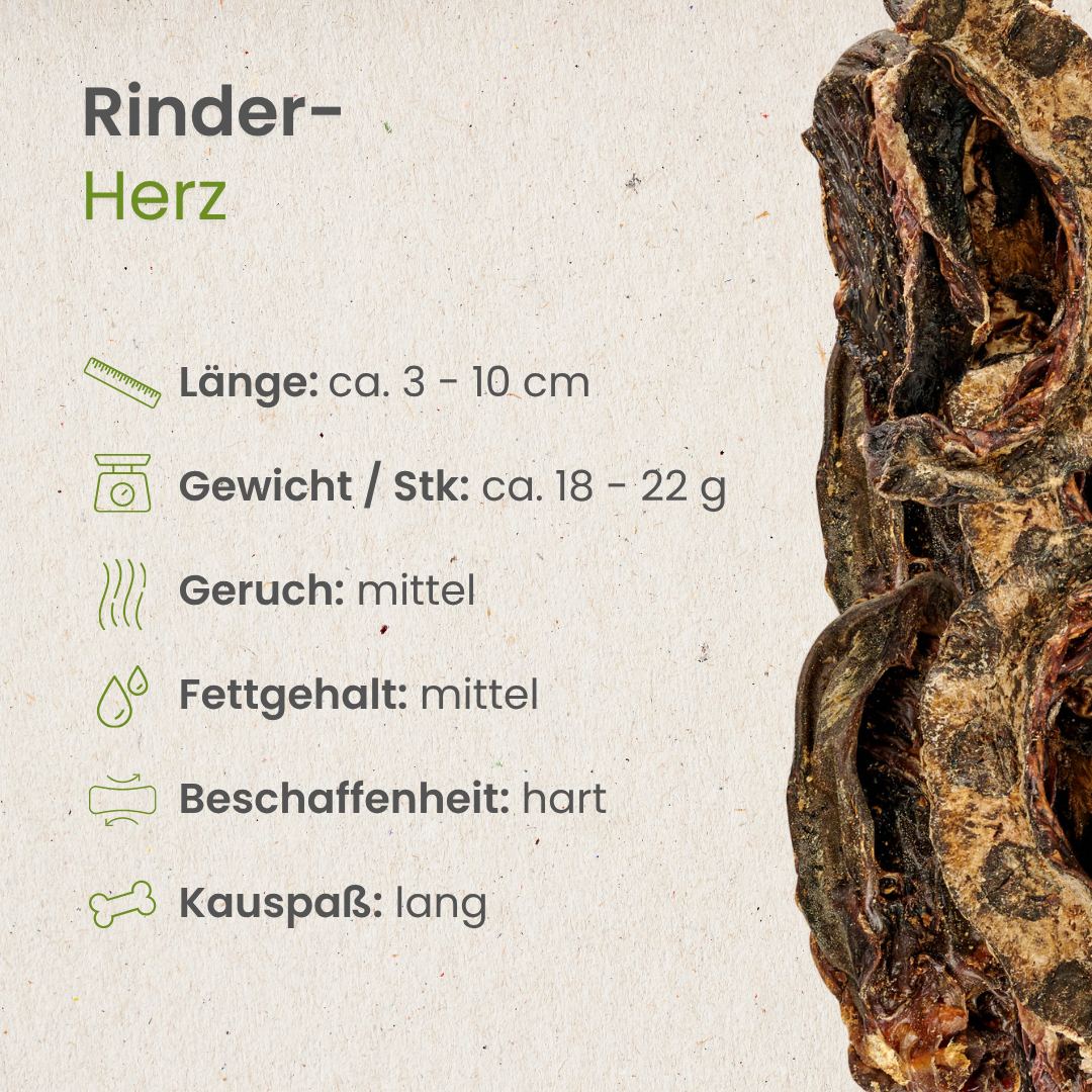 Rinder-Herz