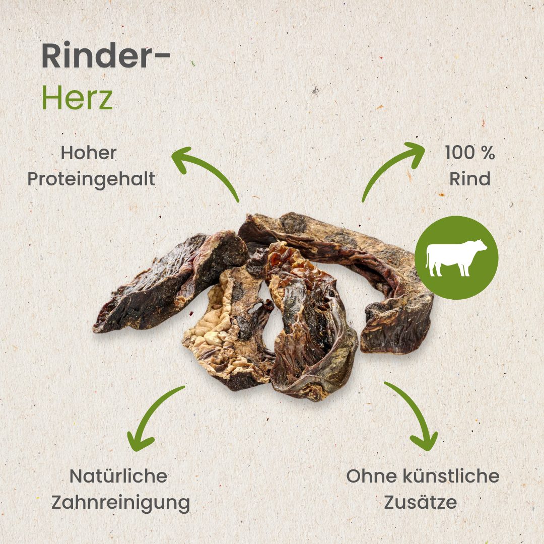 Rinder-Herz