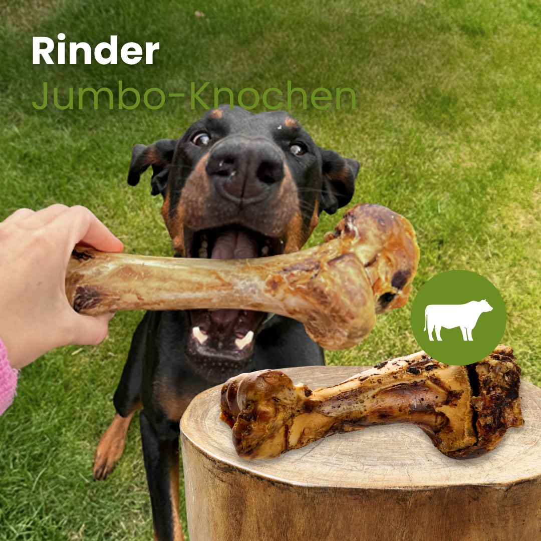 Rinder Jumbo-Knochen